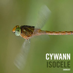 CYWANN - ISOCELE